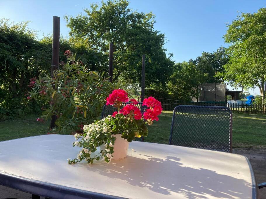 Helle Wohnung Mit Wintergarten - Nahe Ruhrgebiet Und Freizeitpark Movie Park Bottrop Luaran gambar