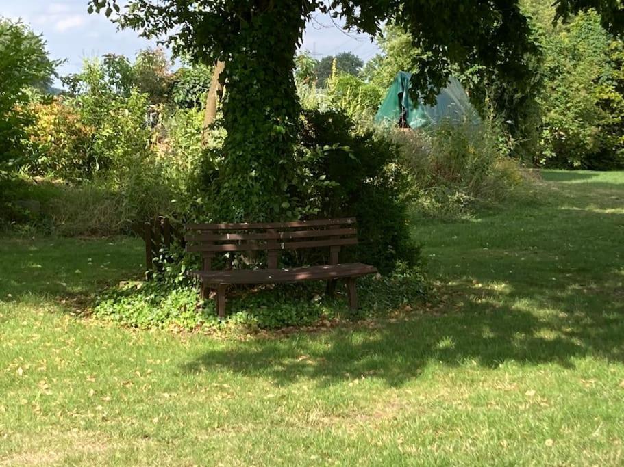 Helle Wohnung Mit Wintergarten - Nahe Ruhrgebiet Und Freizeitpark Movie Park Bottrop Luaran gambar